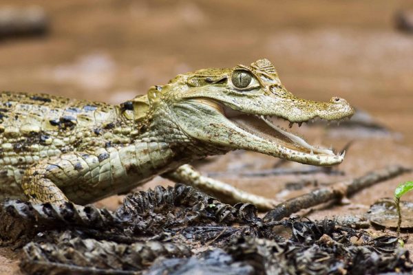 1057_ClimatePartner_03