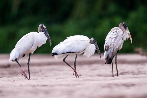 1057_ClimatePartner_05