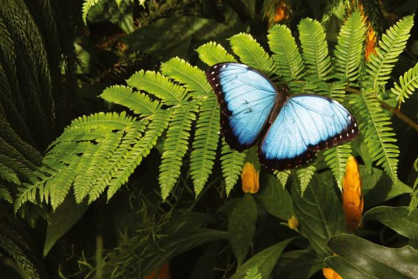 1057_ClimatePartner_06