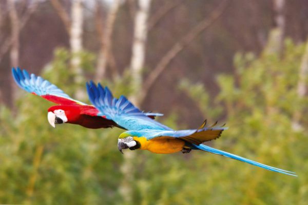 1057_ClimatePartner_09