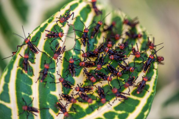 1057_ClimatePartner_10