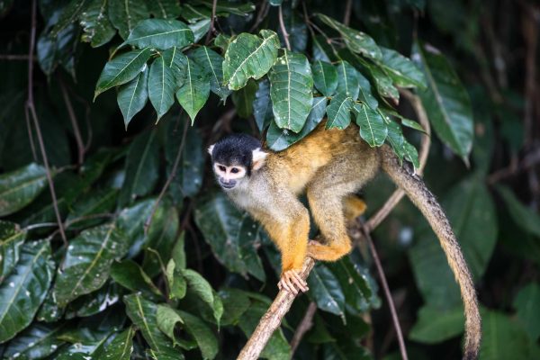 1057_ClimatePartner_13