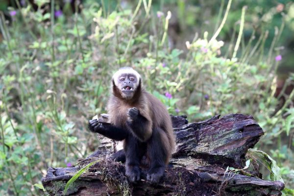 1057_ClimatePartner_14