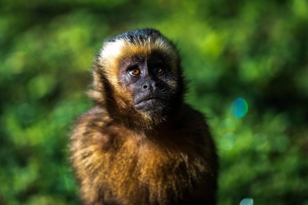 1057_ClimatePartner_15