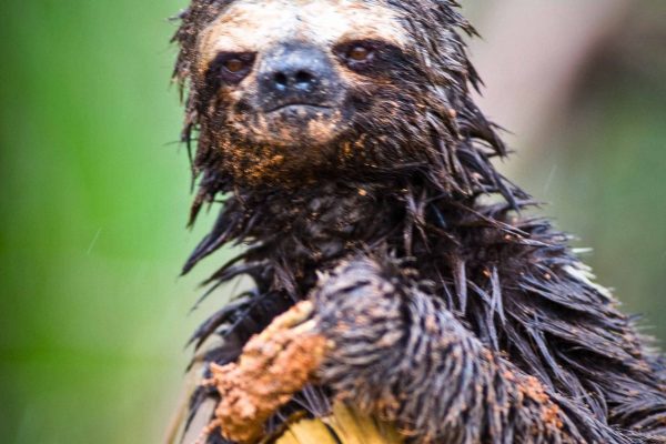 1057_ClimatePartner_16