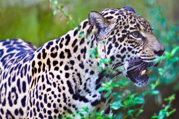 1057_ClimatePartner_17