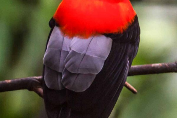 1057_ClimatePartner_18