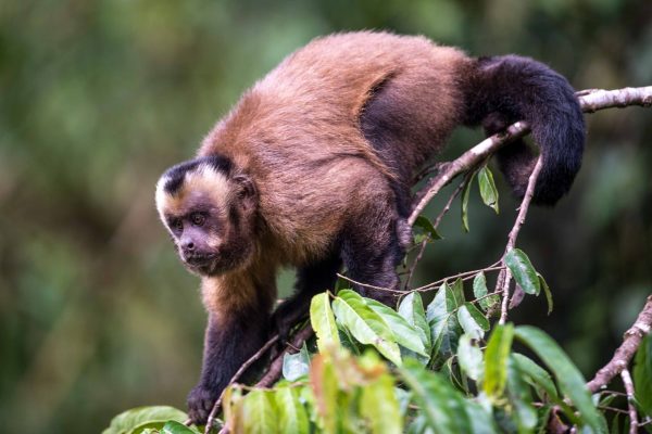 1057_ClimatePartner_19