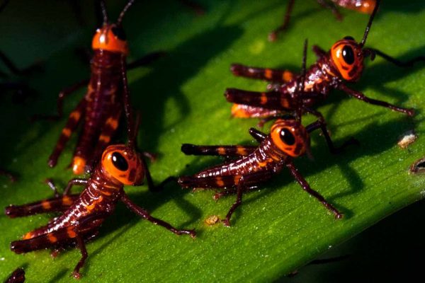 1057_ClimatePartner_20