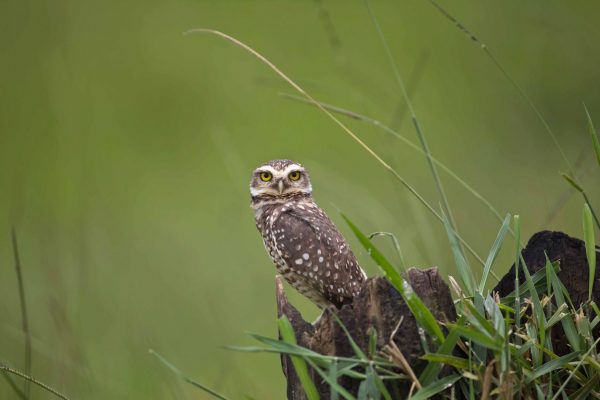 1057_ClimatePartner_21