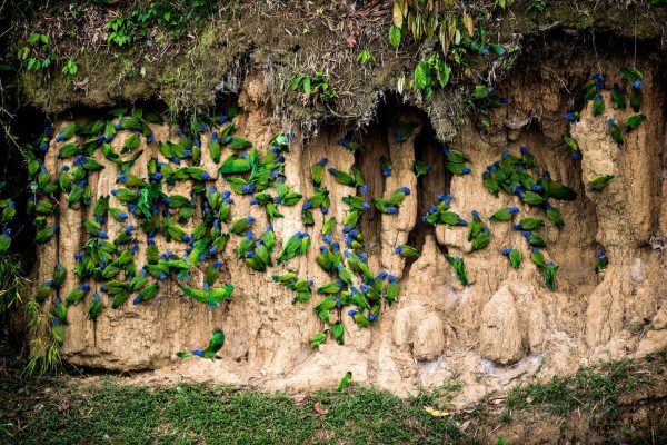 1057_ClimatePartner_22