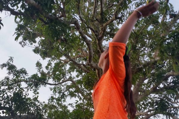 1057_ClimatePartner_29