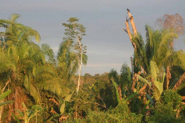 1057_ClimatePartner_31