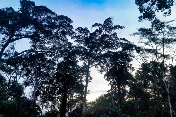 1057_ClimatePartner_33