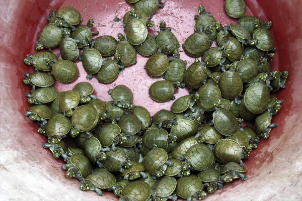 1057_ClimatePartner_42