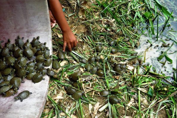 1057_ClimatePartner_43