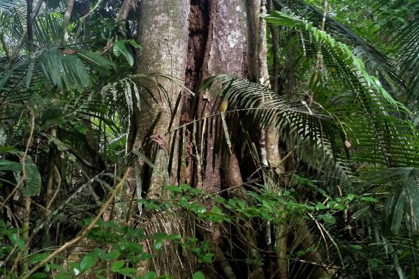 1057_ClimatePartner_44