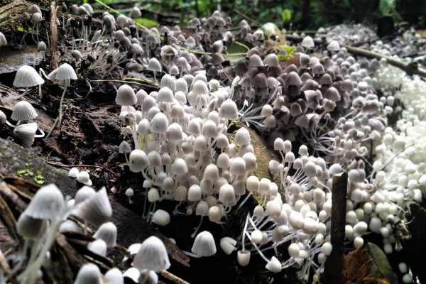 1057_ClimatePartner_48